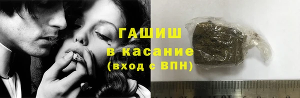 прущие грибы Магас
