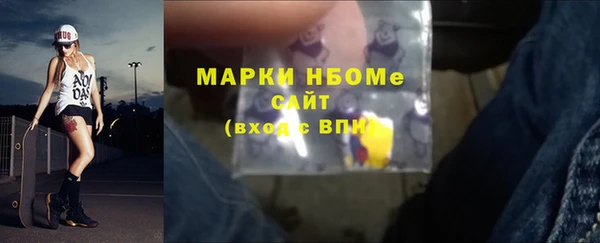 прущие грибы Магас