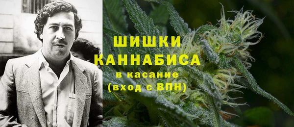 прущие грибы Магас