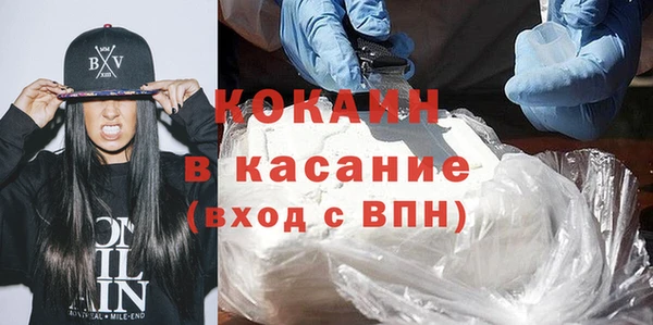 прущие грибы Магас
