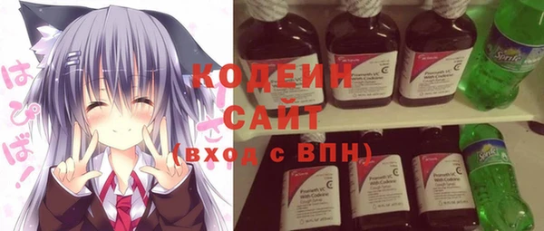 прущие грибы Магас