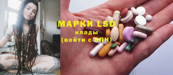 прущие грибы Магас