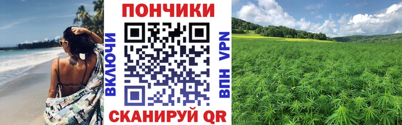 omg   даркнет сайт  Североморск  Конопля сатива 
